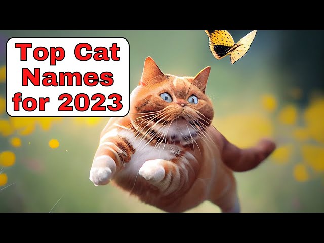 180+ Best Cute Cat Names 2023