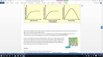 B2 Edexcel GCSE Biology Topic 2 Organisms and energy