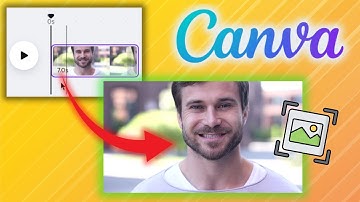 How to Capture a Photo (Still Image) from Video in Canva (Canva Beginners Guide) - 2026