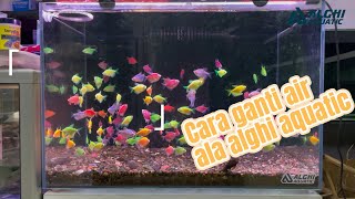 Water change / ganti air aquarium ala alghi aquatic, ngga pake ribet