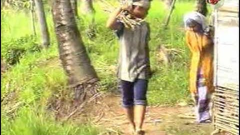 Masdani Nasution "Sampuraga"