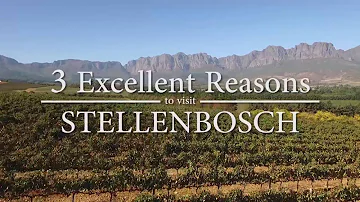 3 Excellent Reasons to Visit Stellenbosch