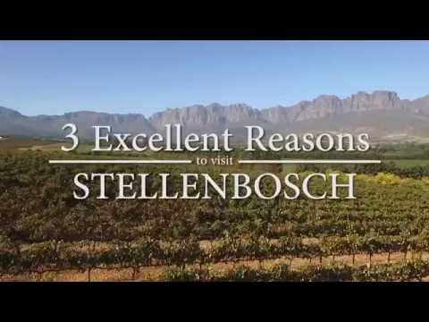Video: Le migliori aziende vinicole di Stellenbosch da visitare