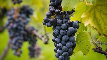 Avoid over exposed blown out highlights and lost details. VERY important DSLR Photography Tip