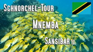 Zanzibar: Snorkelling tour to Mnemba Island, near Nungwi and Kendwa. Corals, clownfish, Tanzania