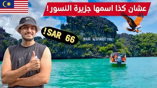 أرخص واشهر رحلة بحرية في لنكاوي   Mangrove Tour Langkawi