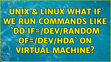 Unix & Linux: What if we run commands like `dd if=/dev/random of=/dev/hda` on virtual machine?
