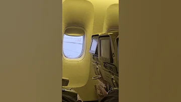 طير بينا يا قلبي 