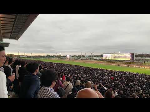 ジャパンカップ 2019 現地