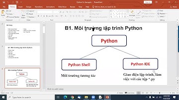 B1 P1Python.
