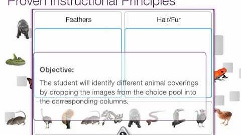 ActivityWizard Overview for MimioStudio Software