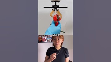 Engineers Turned Seafood Waste Into a Powerful Robot