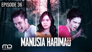 Manusia Harimau - Episode  36
