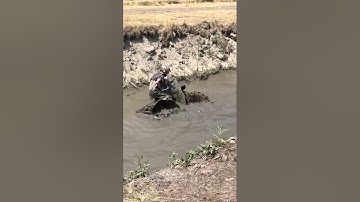 Renegade 1000 xmr VRS Monster truck bounty hole