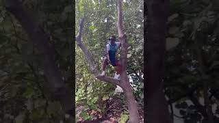 Boosie must've been off the e shrooms | | He climbed up a tree