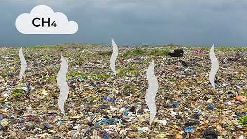 Food waste recycling - be part of this powerful process!