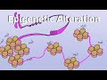 Epigenetic alteration