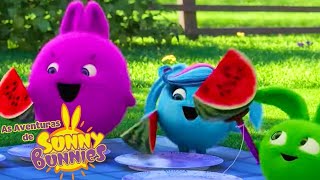 MELANCIA PARA TODOS | As Aventuras de Sunny Bunnies | Desenhos Animados Infantis