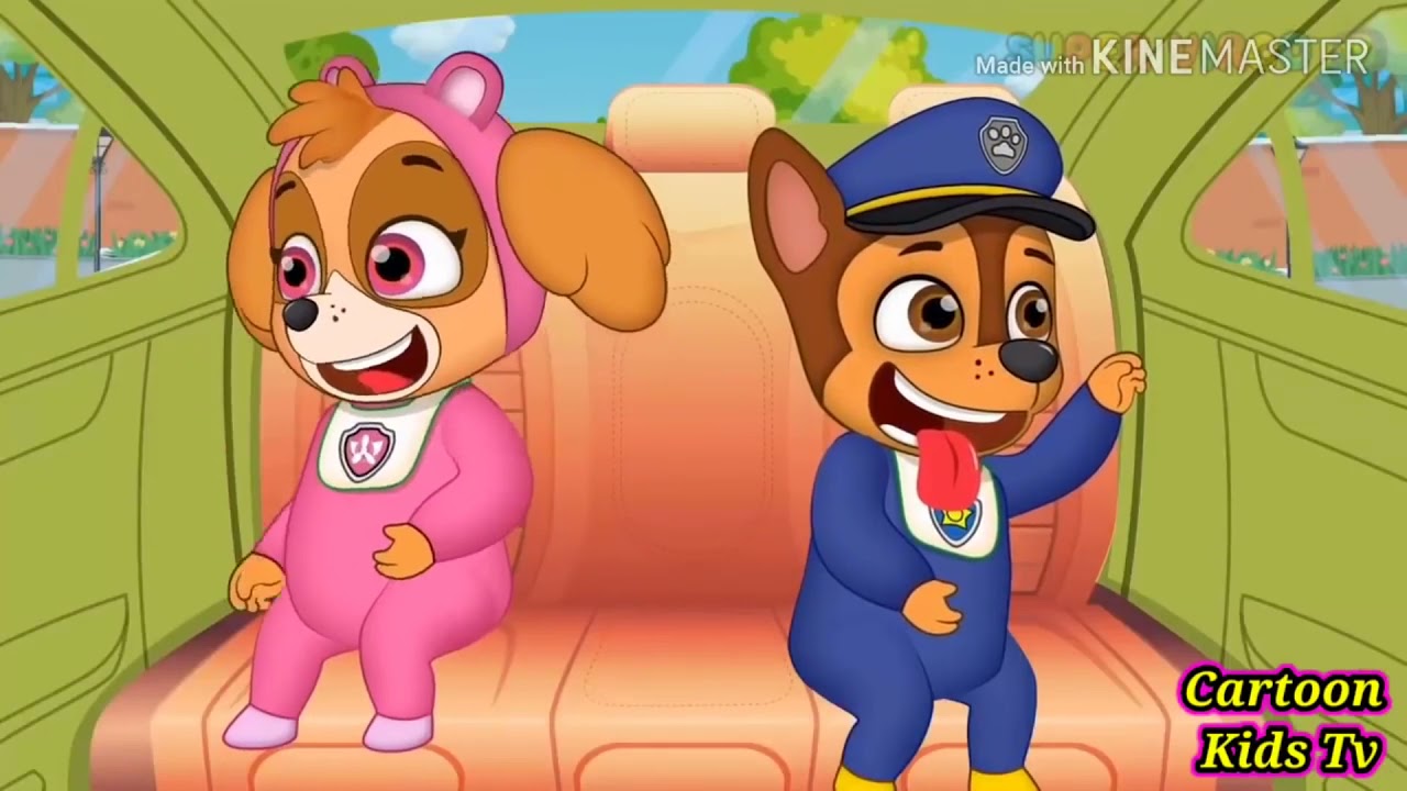 Patrulha Canina - YouTube