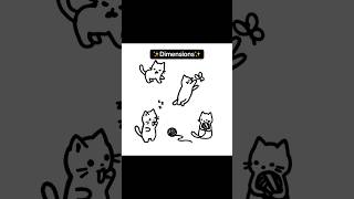 Dimensions explained by kitties #dimensions #math #physics #Science