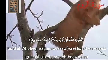 سورة الروم من الآية(١١-٢٥)بصوت القارئ عبدالله الموسى