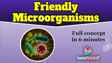 Class 8 Science Chapter 2 Microorganisms Friend and Foe - Friendly Microorganisms