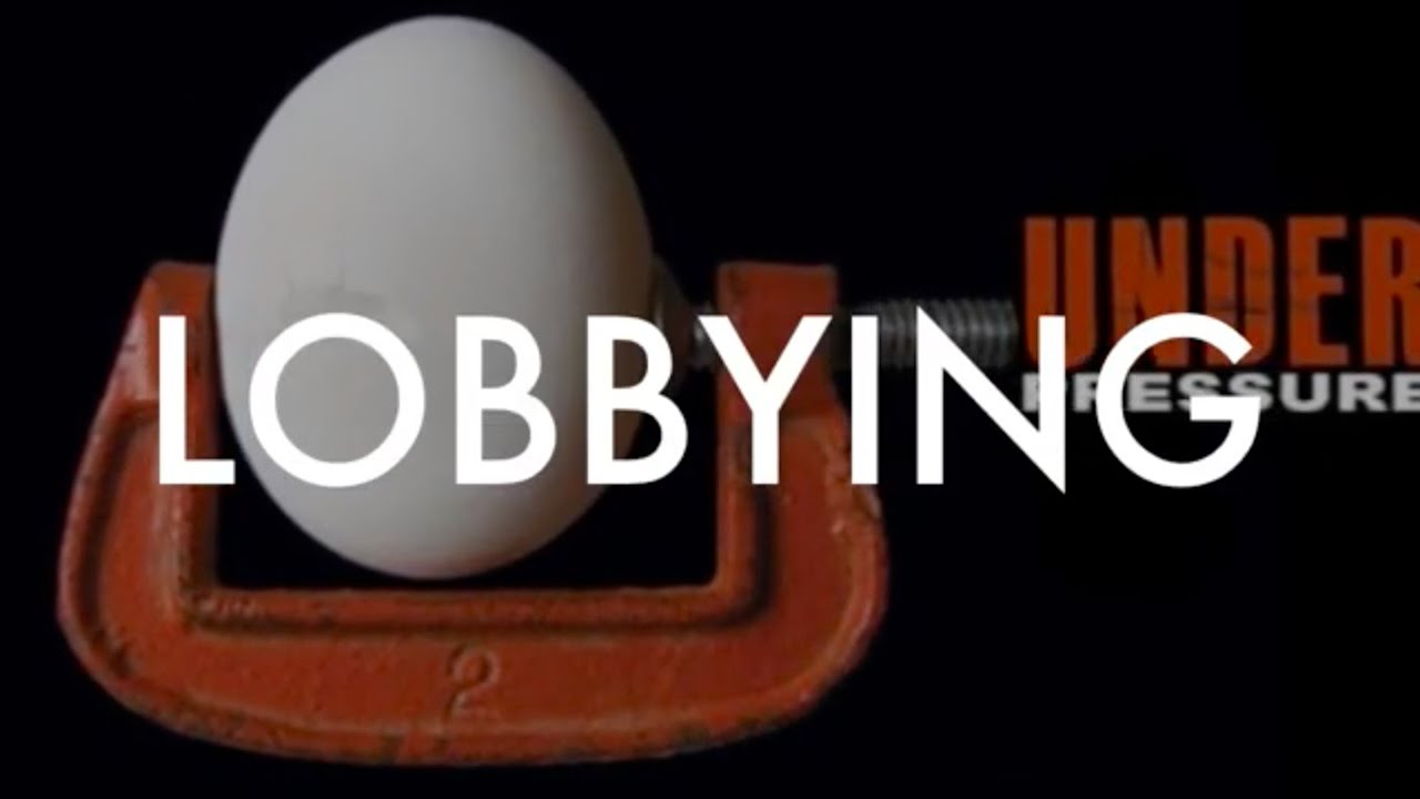 Define Lobbying In Politics