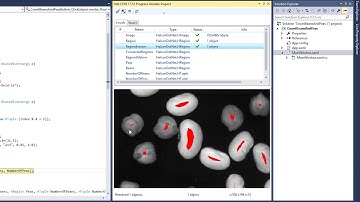 Debugging with HALCON Variable Inspect in Visual Studio