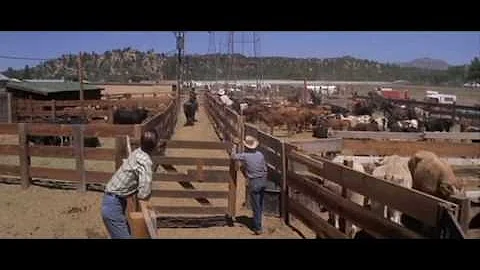 Junior Bonner  Western 1972  Steve McQueen, Robert...