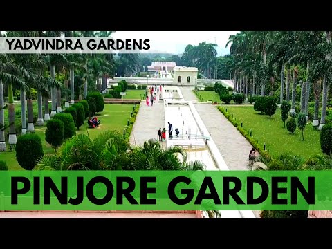 Video: Pinjora Gardens Di India