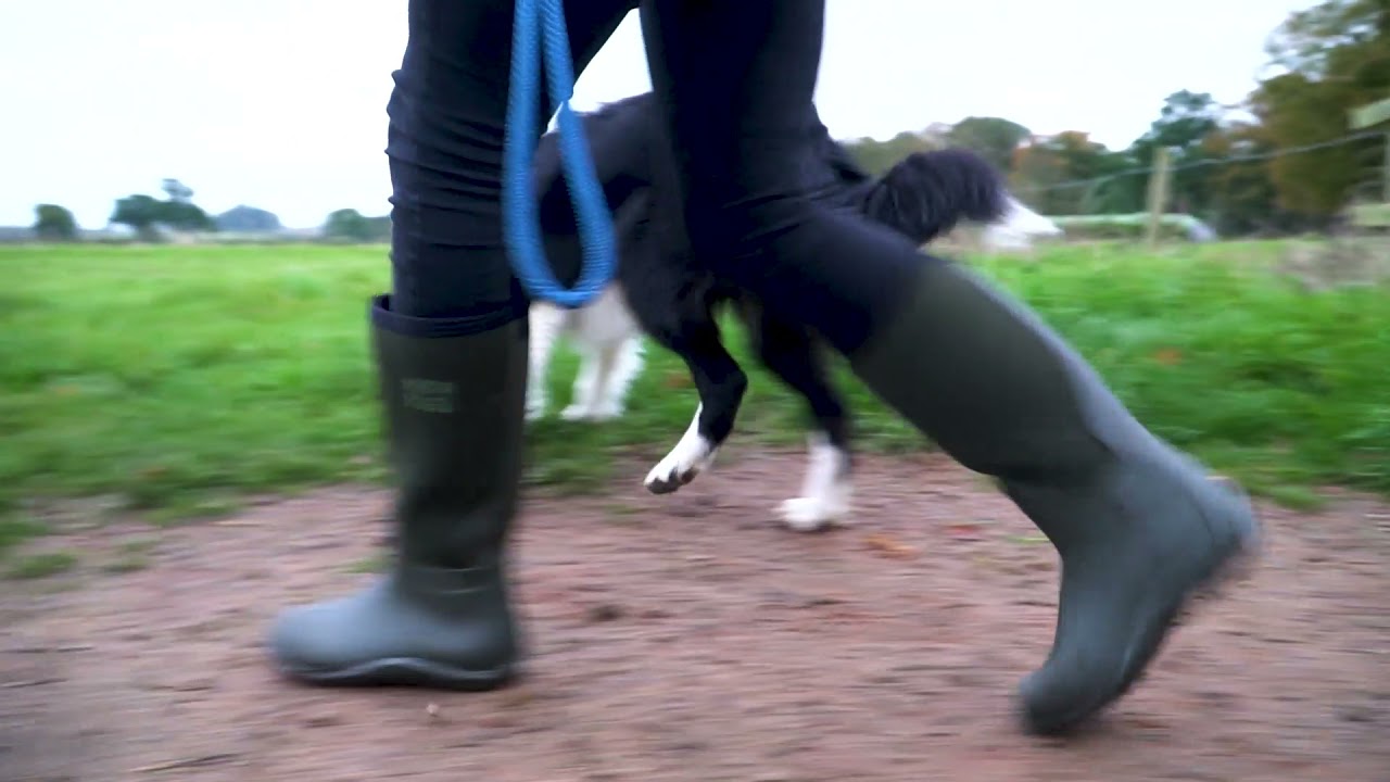 Mud Dogs Rutland | Shuperb™