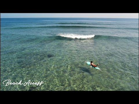 BeachAccess: 8'0 73L スカッシュテール ミニロング/ 8'0 Squash