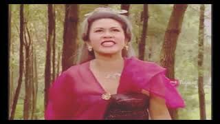 Mystery of Nini Pelet - episode 29a