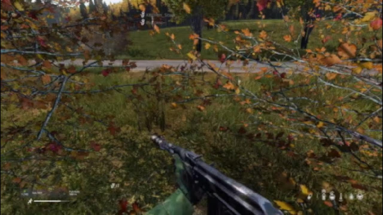 DayZ Stuff YouTube