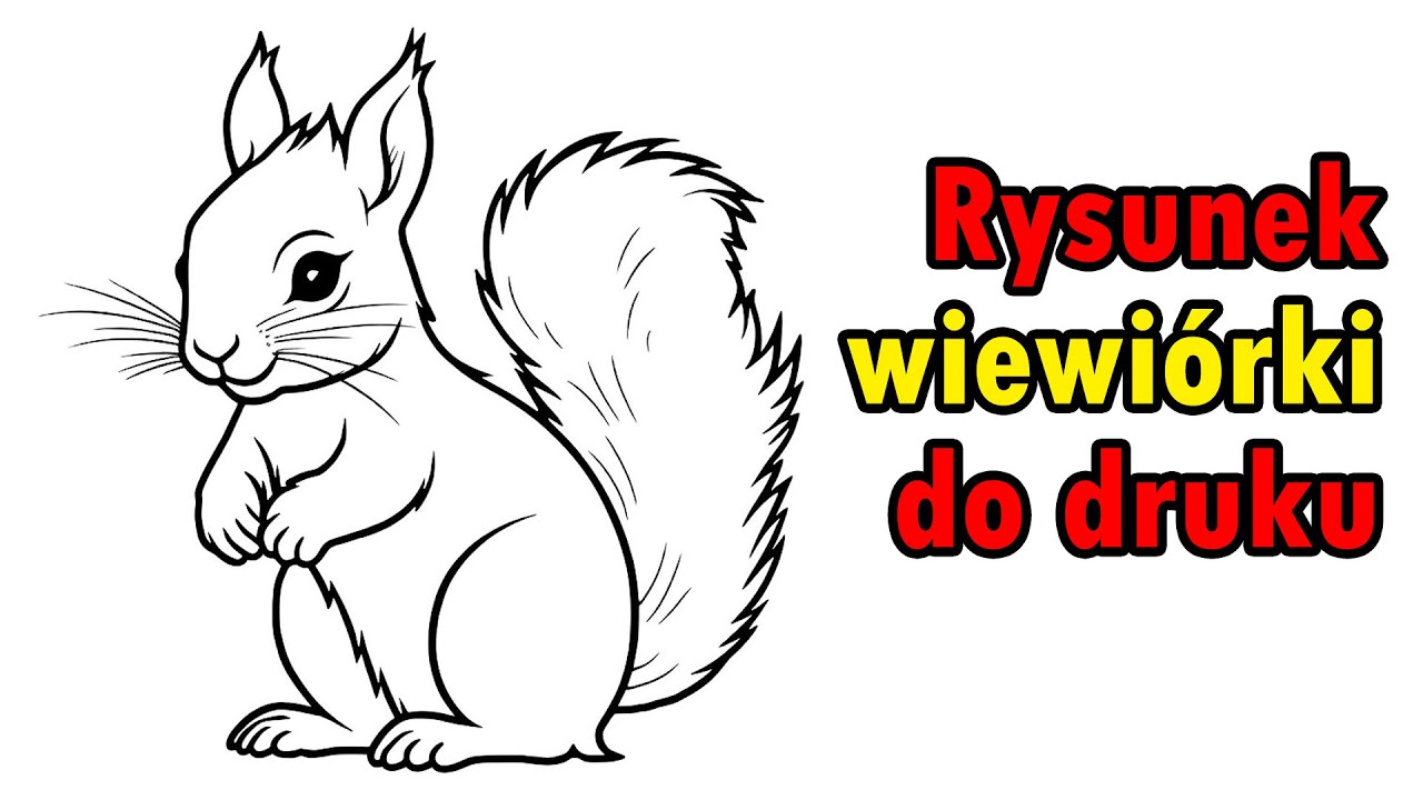 Komórka Zwierzęca Rysunek Do Druku Rysunek wiewiórki do druku - YouTube