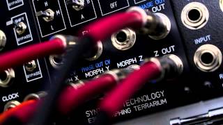 Morphing Terrarium (Synthesis Technology 5U)