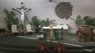 funeral mass of Jo Anne O Carroll