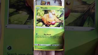 Vivid Voltage with no amps! #ptcg #pokemon #ctr #pokemontcg #vividvoltage #weedle
