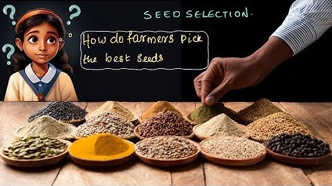 Seed Selection Crop Production & Management | Middle School Science | Khan Academy