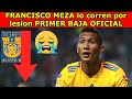 FRANCISCO MEZA TIGRES (PIMER BAJA OFICIAL)