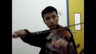 The Corrs - The Minstrel Boy (Violin Cover)