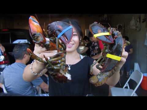 Video: Yuav Ua Li Cas Ua Noj Lobster