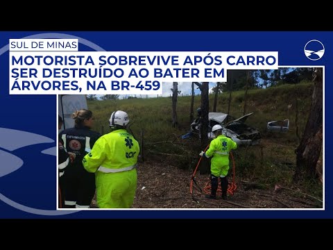 Motorista sobrevive após carro ser destruído ao bater em árvores, na BR-459