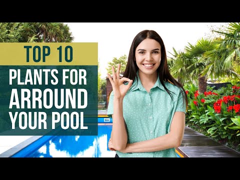 10 Best Plants for around a Pool 🌲 Swimming Pool Landscaping Ideas 👌