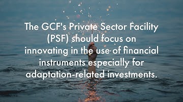 Forward-looking Performance Review of the GCF: Private Sector