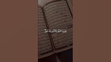 ما هي السورة التي نزلت كاملة دفعةً واحدة في مكة، وتسمى سورة الحواريين؟