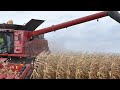 Big Fields & Huge Trucks - Tuscola - CASE IH Farmer 7240 Axial-Flow® - Magnum 305 - Harvest 2020 5K