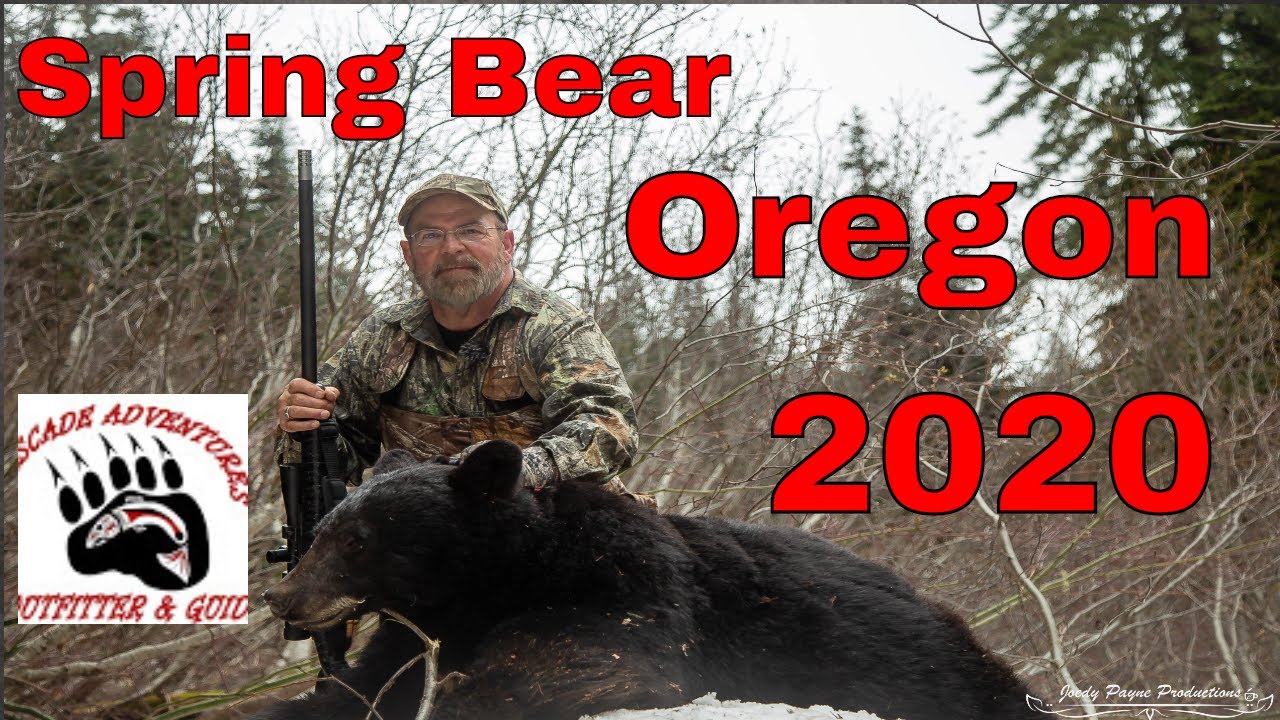 Cascade Adventures Oregon Spring Bear Hunt 2020 Sheldon Doty YouTube