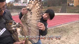 TV동물농장 131124 (다시보기) #1(9)