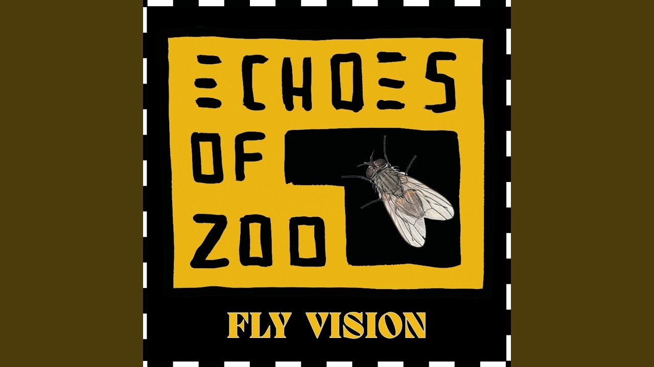 Watch Fly Vision on YouTube Watch Fly Vision on YouTube